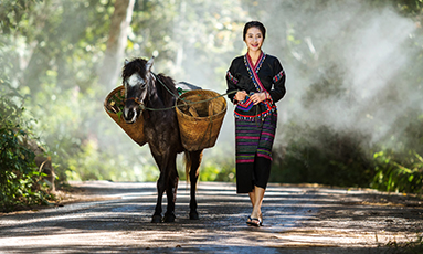 Forest-based Activities