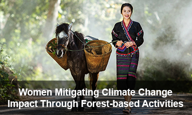 Forest-based Activities