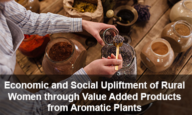 Economic and Social Upliftment